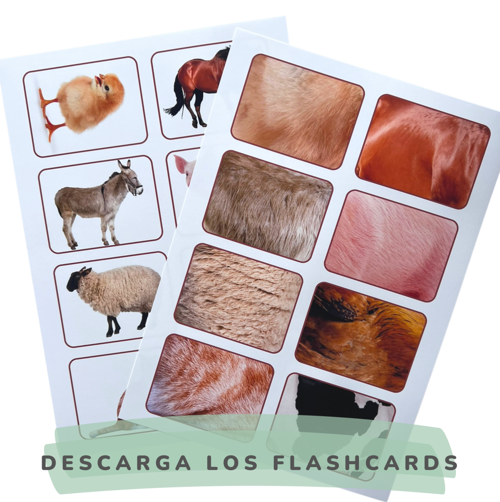 Flashcards Animales de la granja y su piel
